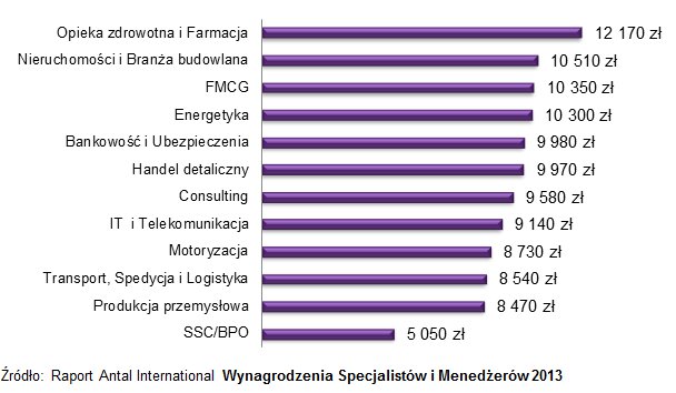 Wynagrodzenia Specjalistów i Menedżerów 2013