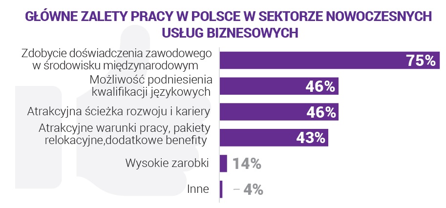 Dlaczego obcokrajowcy decydują się na Polskę, co im się u nas podoba, a co przeszkadza?