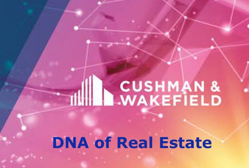 DNA of Real Estate report
