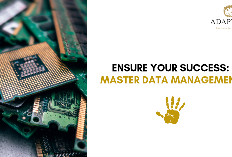 New service line 'Master Data Management'