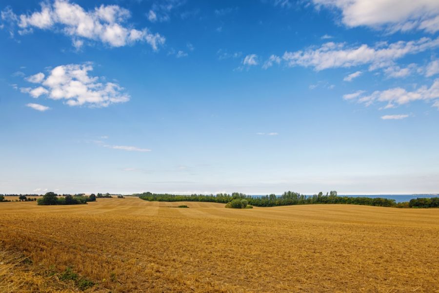Czy warto inwestować w ziemię rolną?