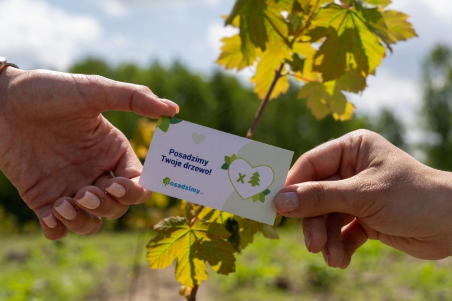 Dzięki działalności Posadzimy.pl jesienią zeszłego roku Polska zyskała ponad 100 tys. drzew