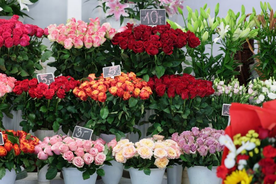 Globalna sprzedaż kwiatów w walentynki sięga 250 milionów sztuk