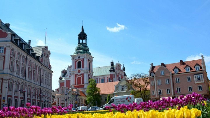 Sektory priorytetowe dla Miasta Poznania